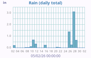 Rain
