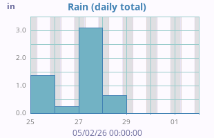 Rain