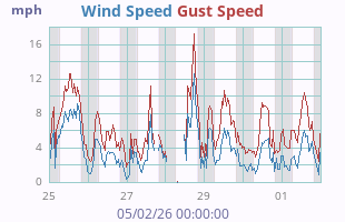 Wind Speed